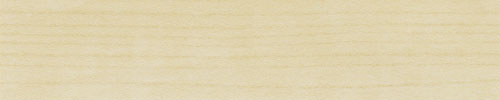Foil Birch 44mm glue