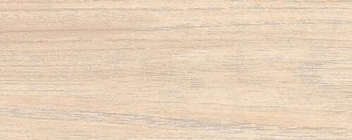ABS Ash 23/1,0 mm