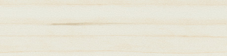 ABS Champagne Hard Maple 21/0,5 mm