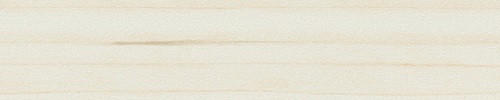 ABS Champagne Hard Maple 42/1,8 mm