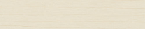 ABS Birsch/Majnau Birsch 21/0,4mm